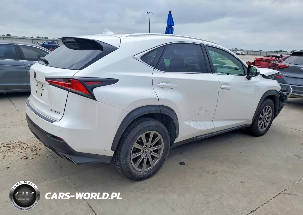 2019 Lexus Nx 300 Base VIN:JTJYARBZXK2136432 - 3