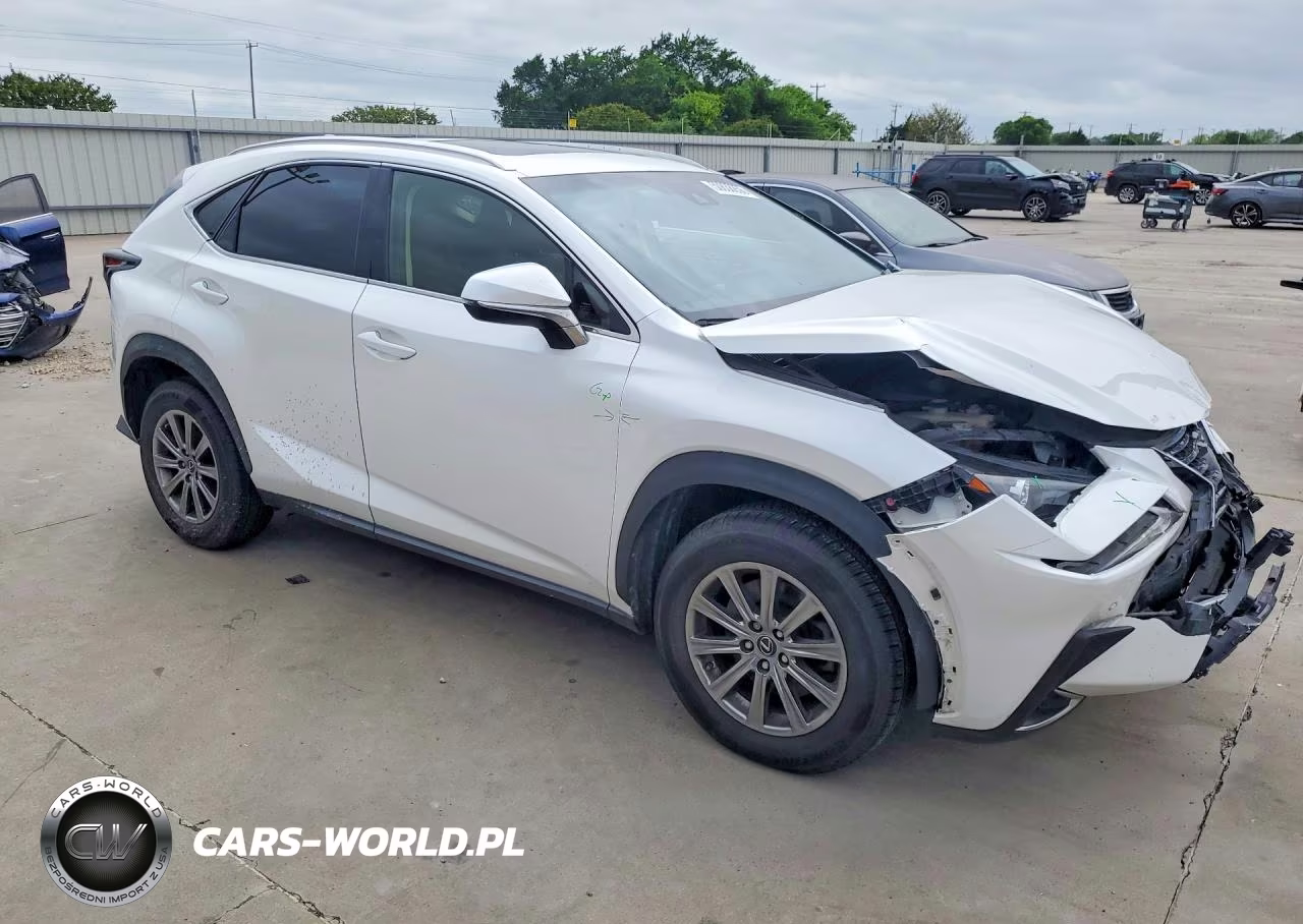 2019 Lexus Nx 300 Base VIN:JTJYARBZXK2136432 - 4