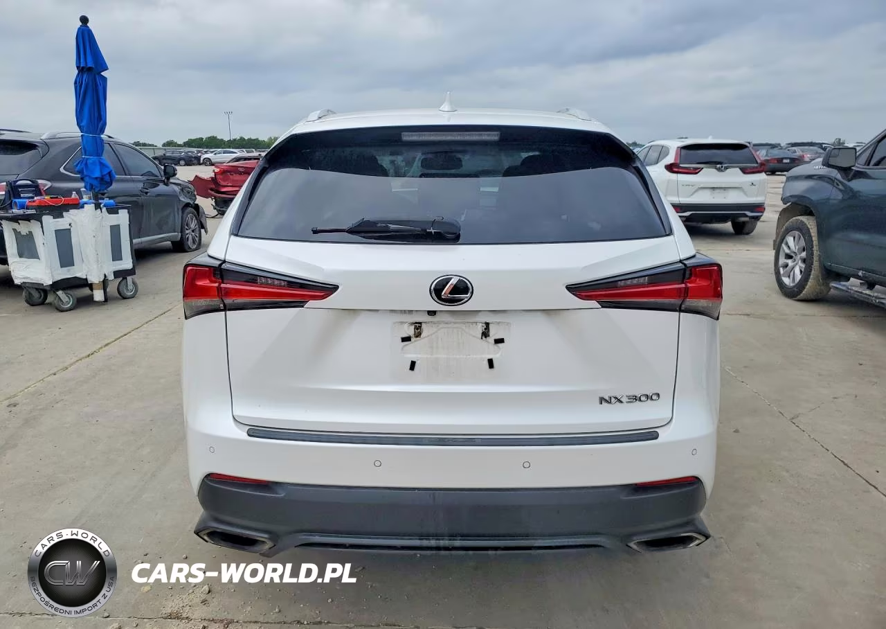 2019 Lexus Nx 300 Base VIN:JTJYARBZXK2136432 - 6