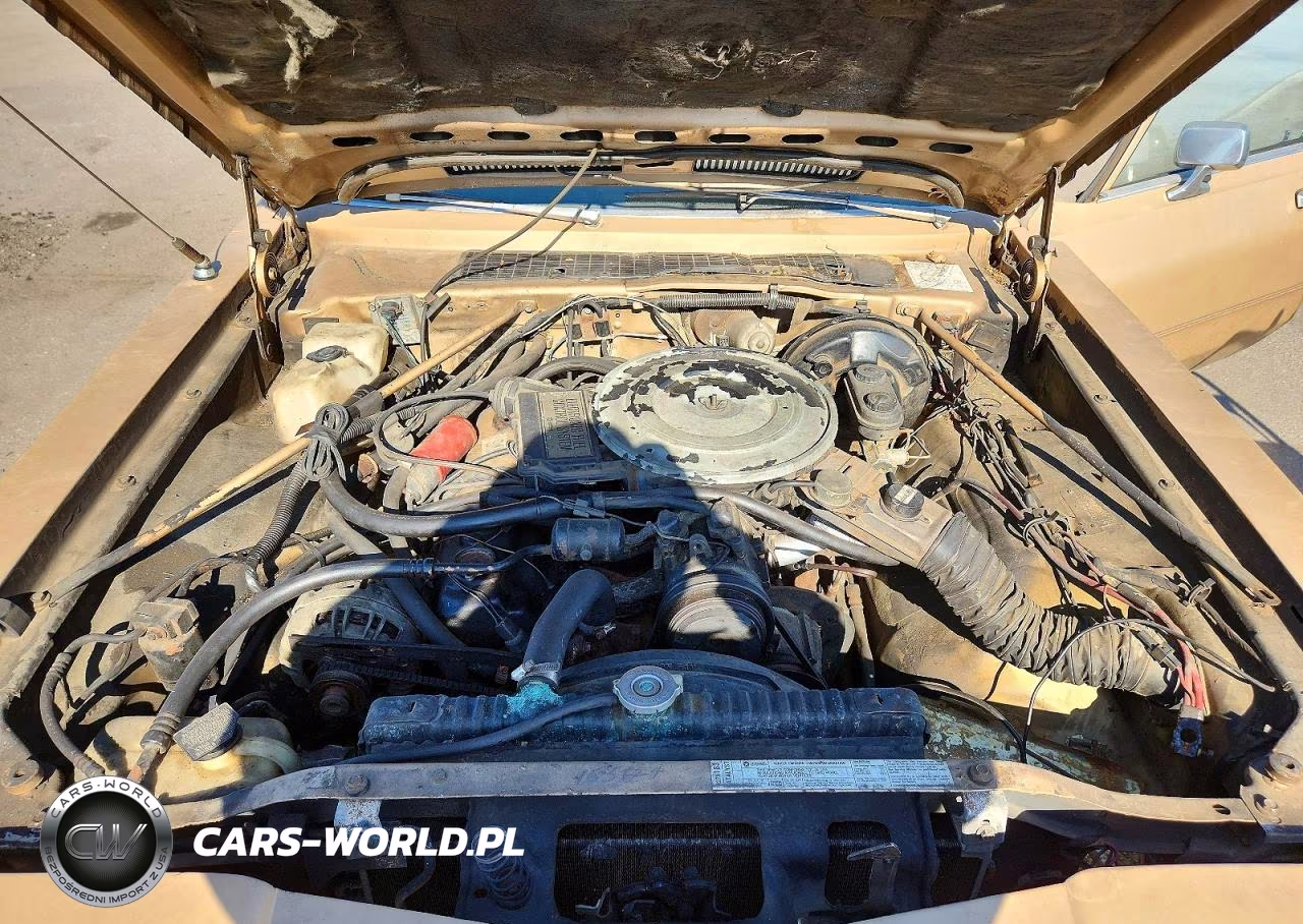 1983 Dodge Diplomat VIN:2B3BG26H2DR125396 - 11