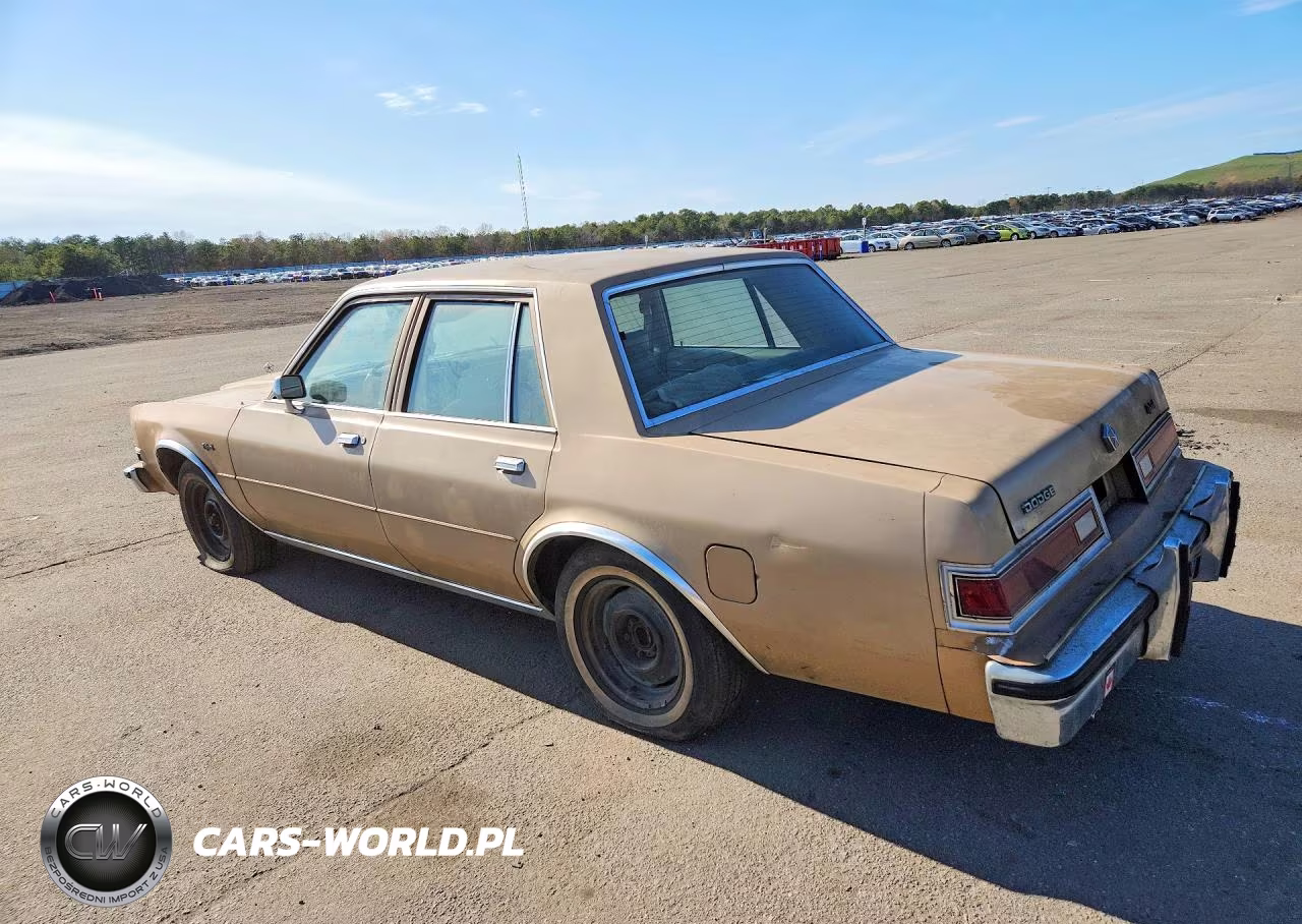1983 Dodge Diplomat VIN:2B3BG26H2DR125396 - 2