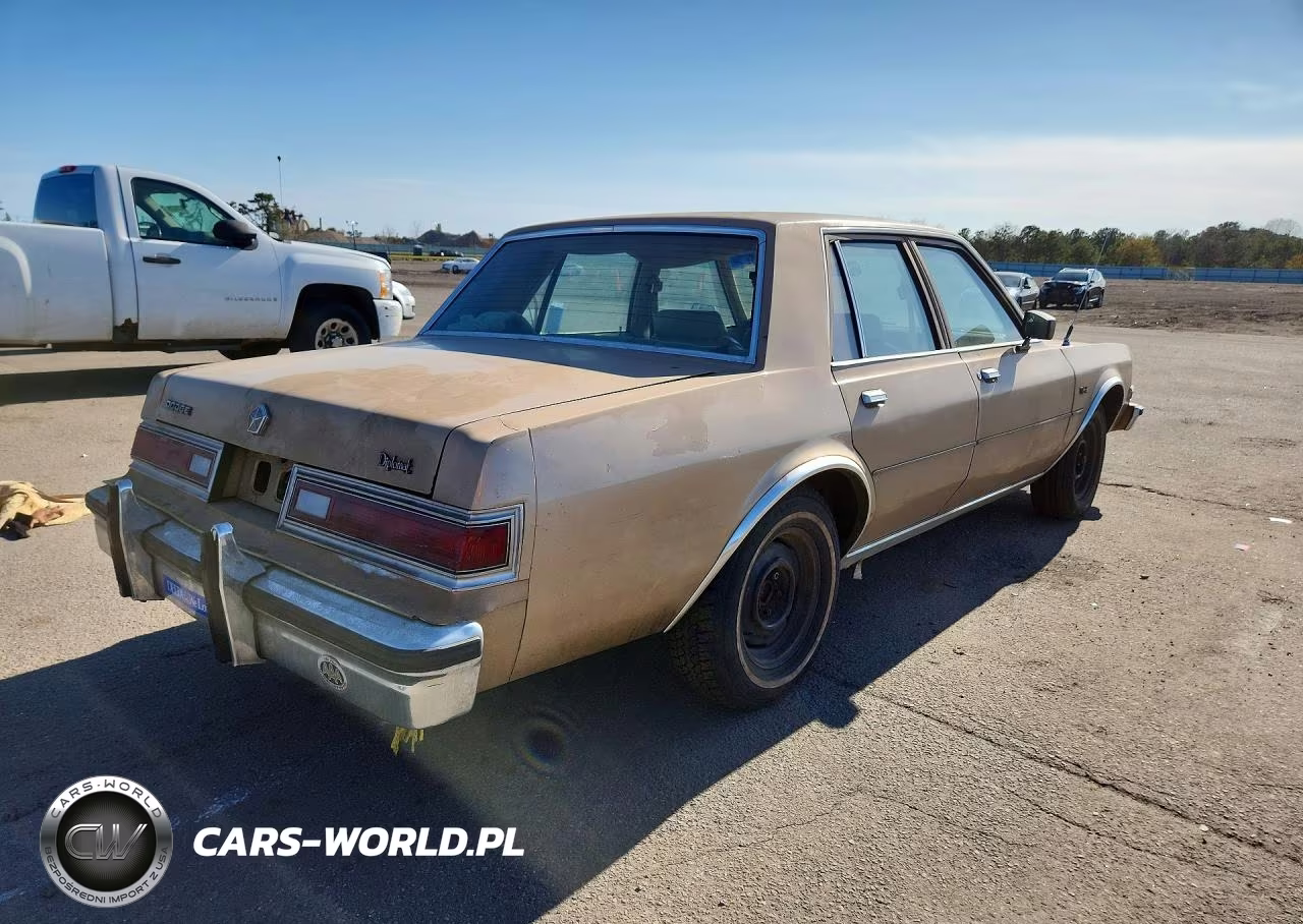 1983 Dodge Diplomat VIN:2B3BG26H2DR125396 - 3