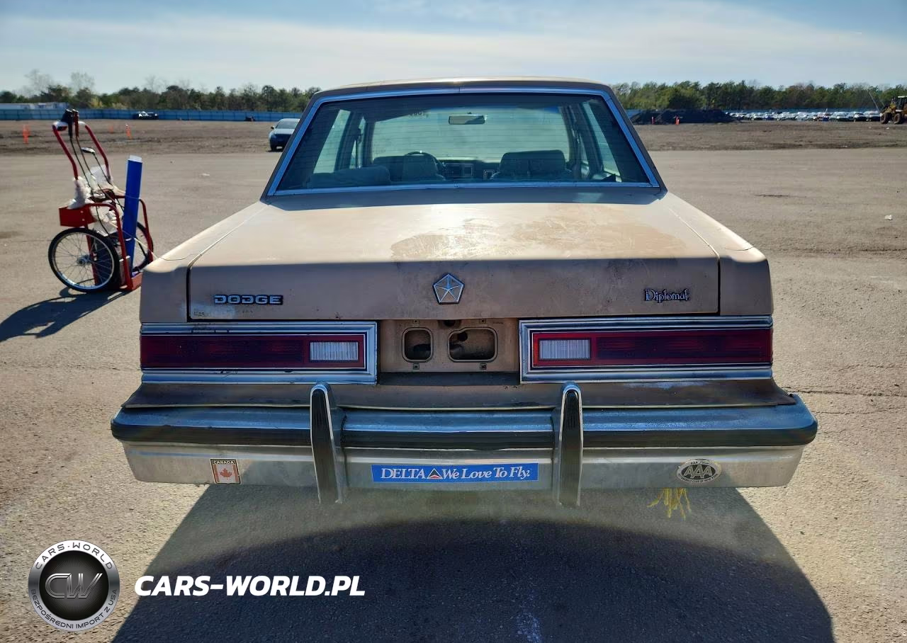 1983 Dodge Diplomat VIN:2B3BG26H2DR125396 - 6