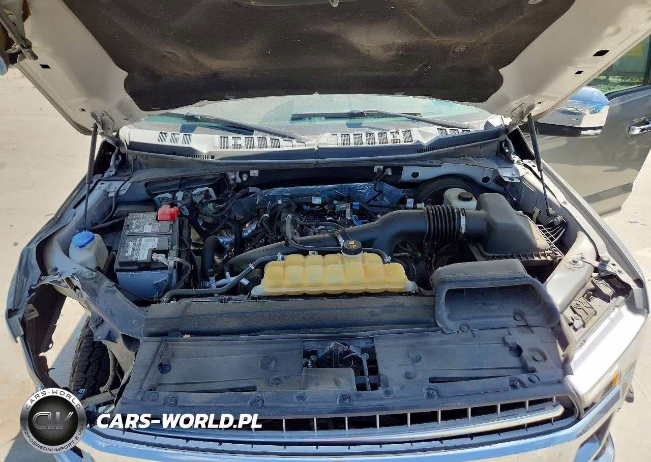 2019 Ford F150 Supercrew VIN:1FTEW1CP6KKD80665 - 11