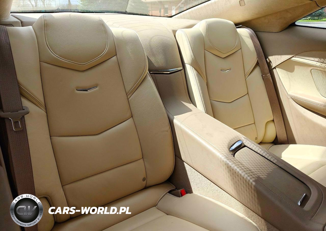 2014 Cadillac Elr Luxury VIN:1G6RM1E43EU600267 - 6