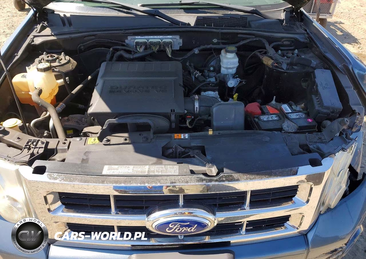 2011 Ford Escape Xlt VIN:1FMCU0DG1BKC09095 - 12
