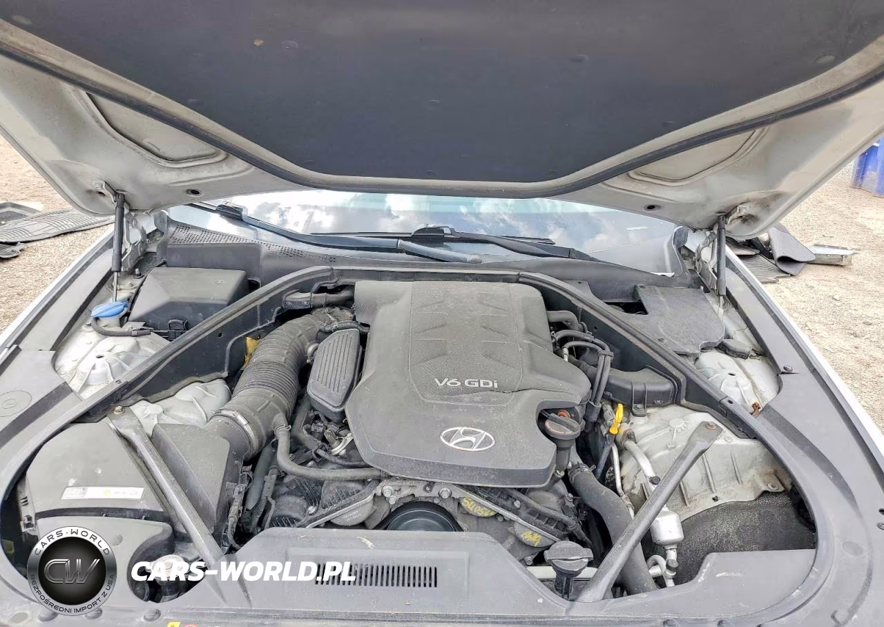 2015 Hyundai Genesis 3.8L VIN:KMHGN4JE9FU017846 - 11