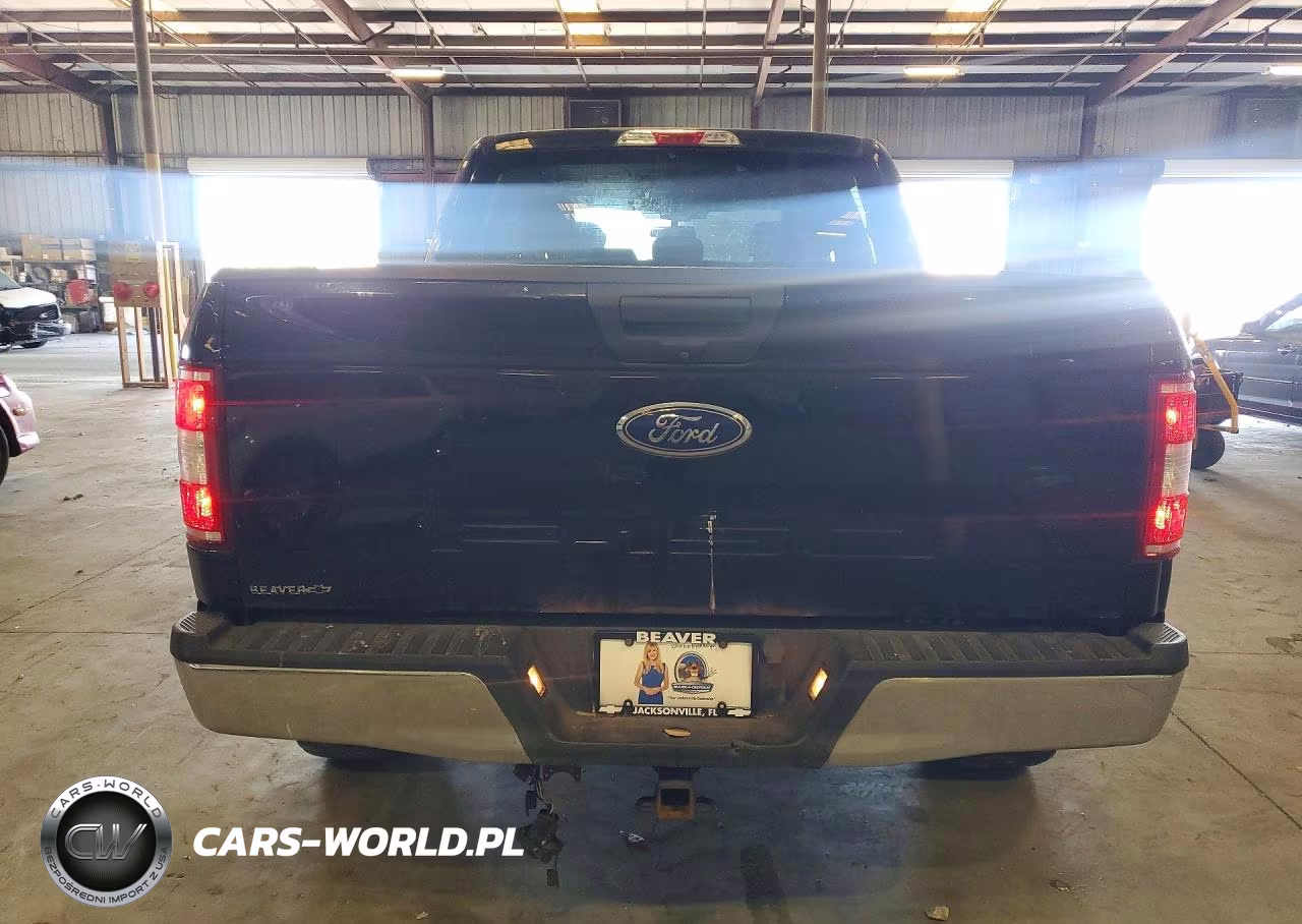 2019 Ford F150 Supercrew VIN:1FTEW1C5XKFA66203 - 6