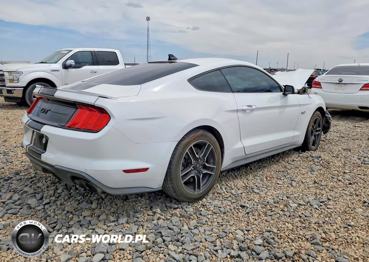 2021 Ford Mustang Gt VIN:1FA6P8CF1M5116567 - 3
