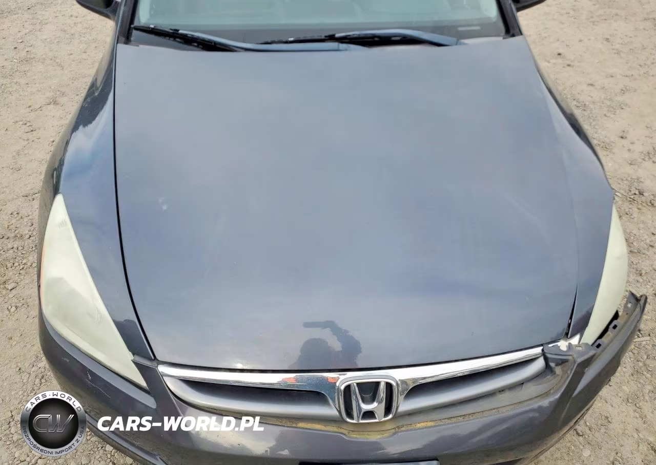 2007 Honda Accord Ex VIN:1HGCM66567A102951 - 11