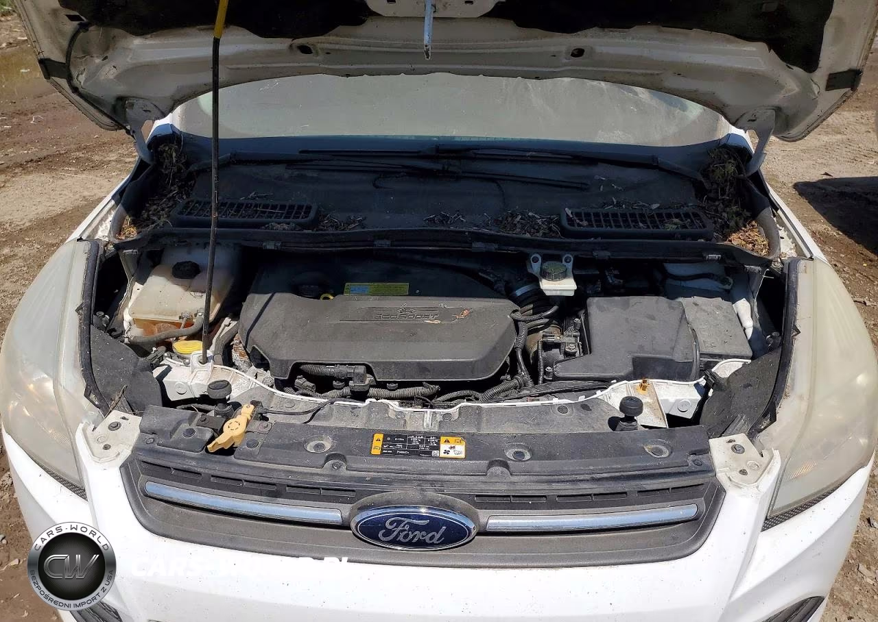 2013 Ford Escape Se VIN:1FMCU0GX7DUB25656 - 12