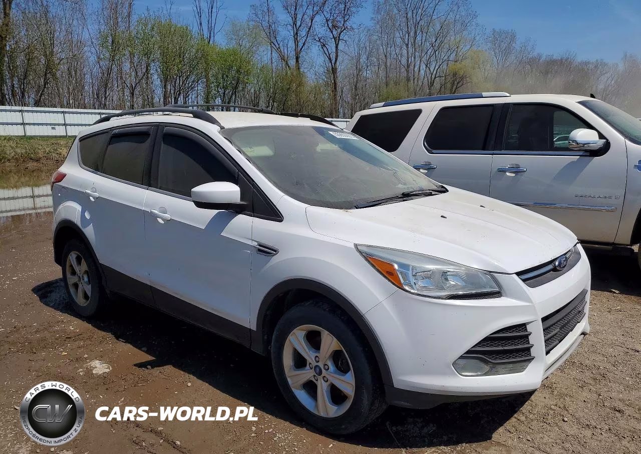 2013 Ford Escape Se VIN:1FMCU0GX7DUB25656 - 4
