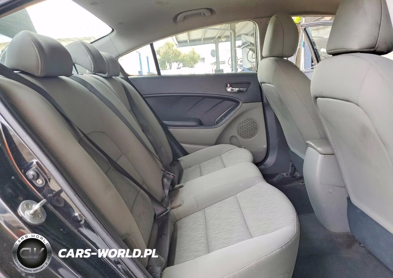 2016 Kia Forte Lx VIN:KNAFK4A62G5612144 - 10