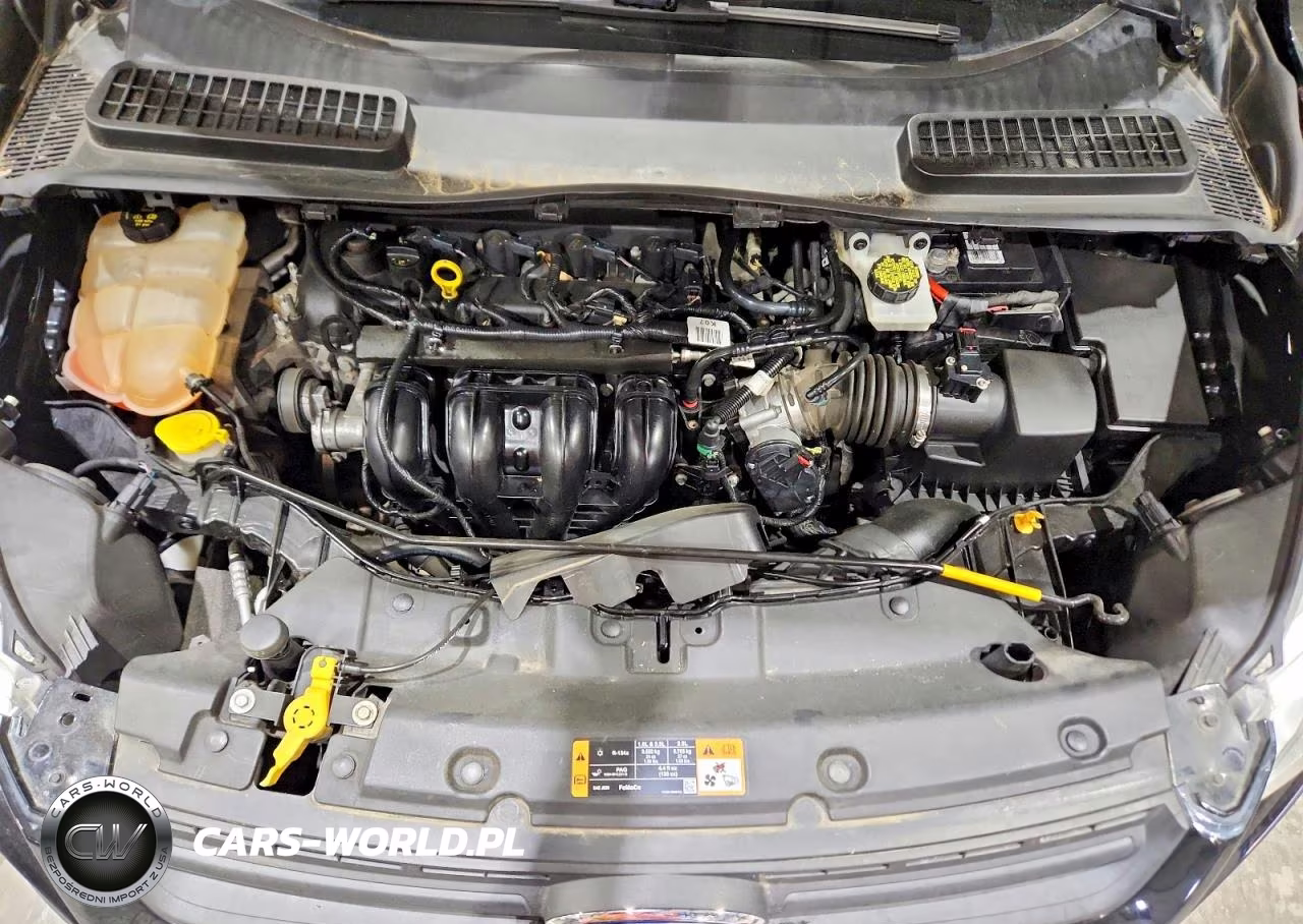 2016 Ford Escape S VIN:1FMCU0F7XGUB12616 - 12