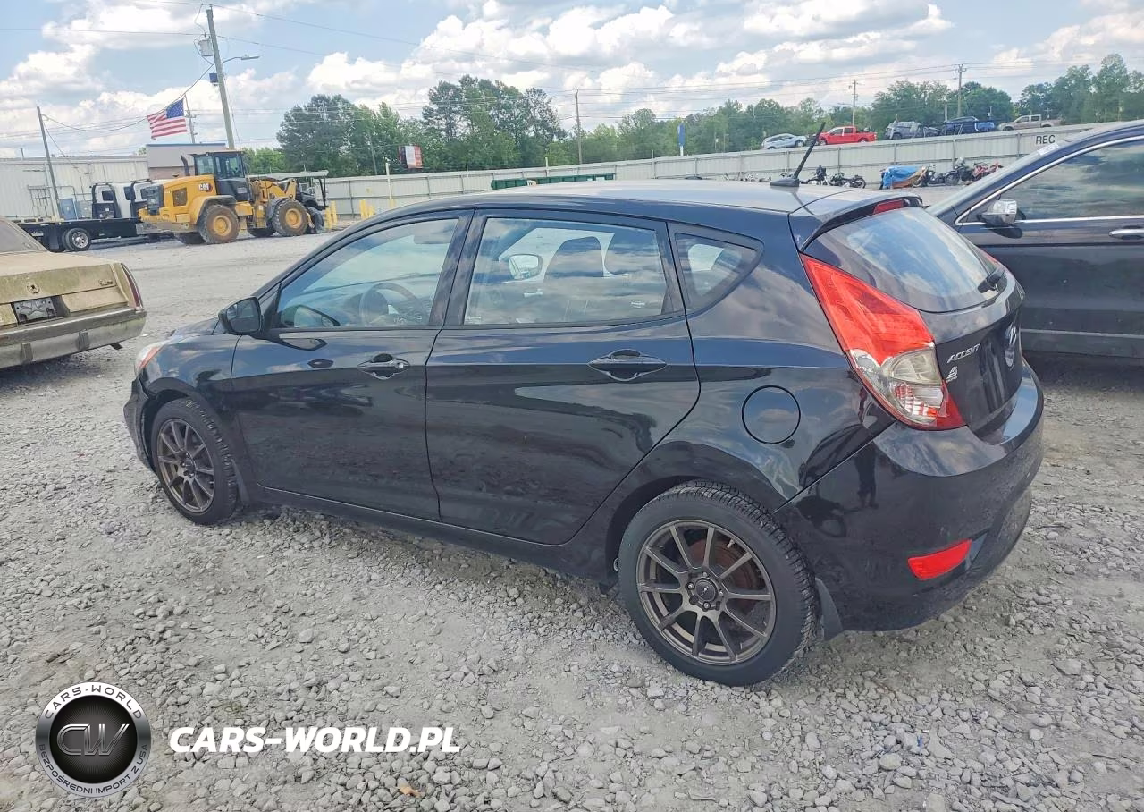 2014 Hyundai Accent Gs VIN:KMHCT5AE4EU173494 - 2
