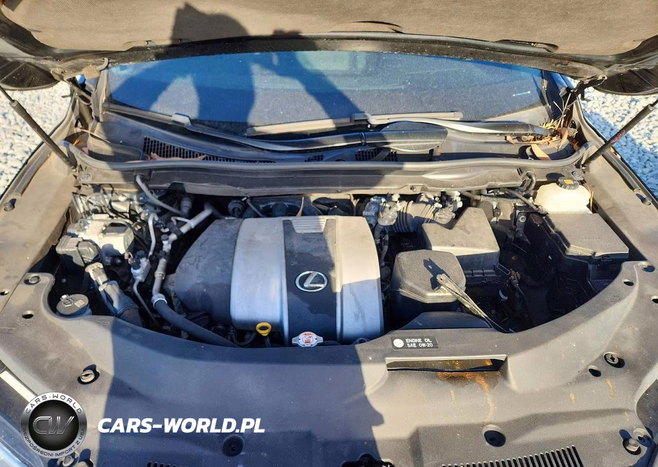 2020 Lexus Rx 350 L VIN:JTJHZKFA4L2024103 - 12