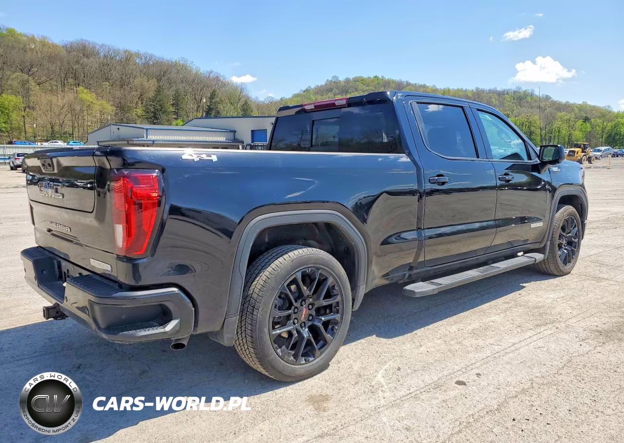 2025 GMC Sierra K1500 Elevation VIN:3GTUUCE87SG175186 - 3