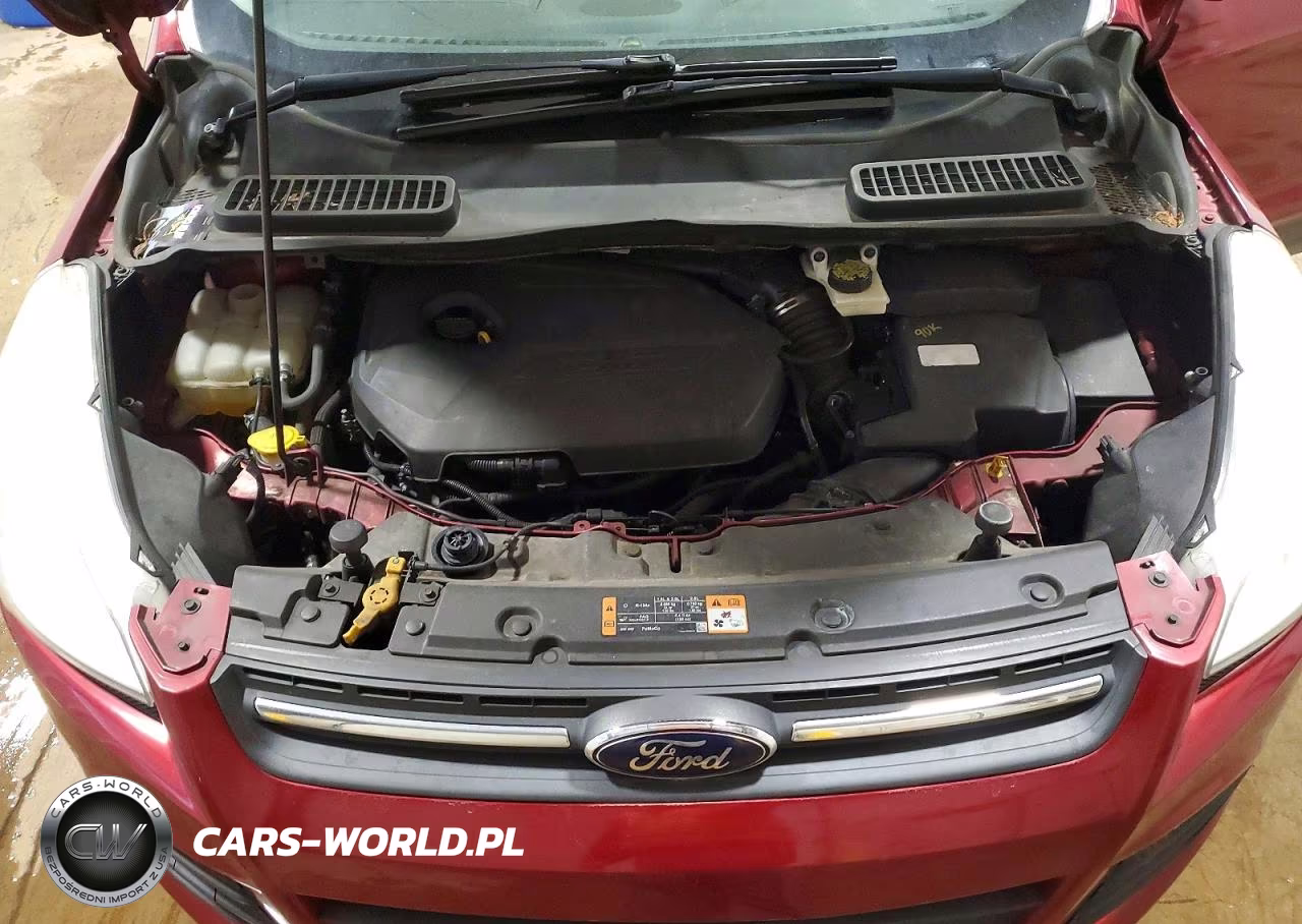 2014 Ford Escape Se VIN:1FMCU9GX5EUB52764 - 12