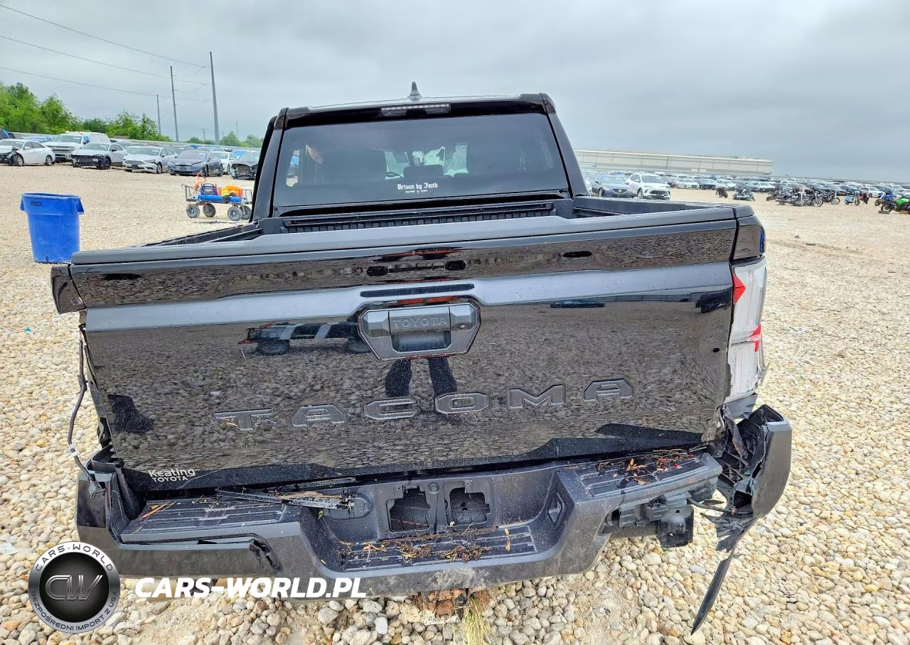 2025 Toyota Tacoma Trd Sport VIN:3TMKB5FN3SM039989 - 6
