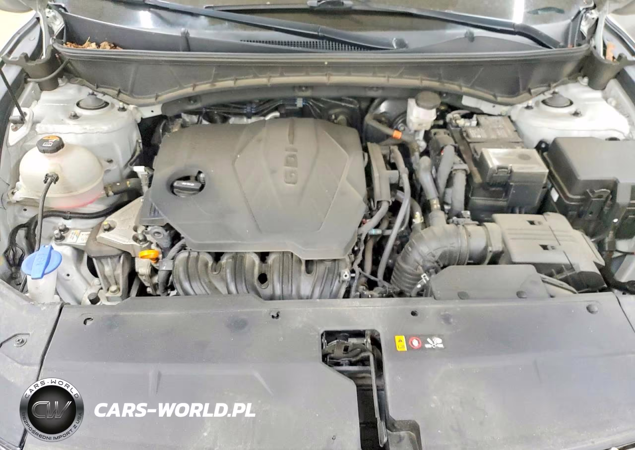 2024 Hyundai Tucson Limited VIN:5NMJECDEXRH300347 - 11