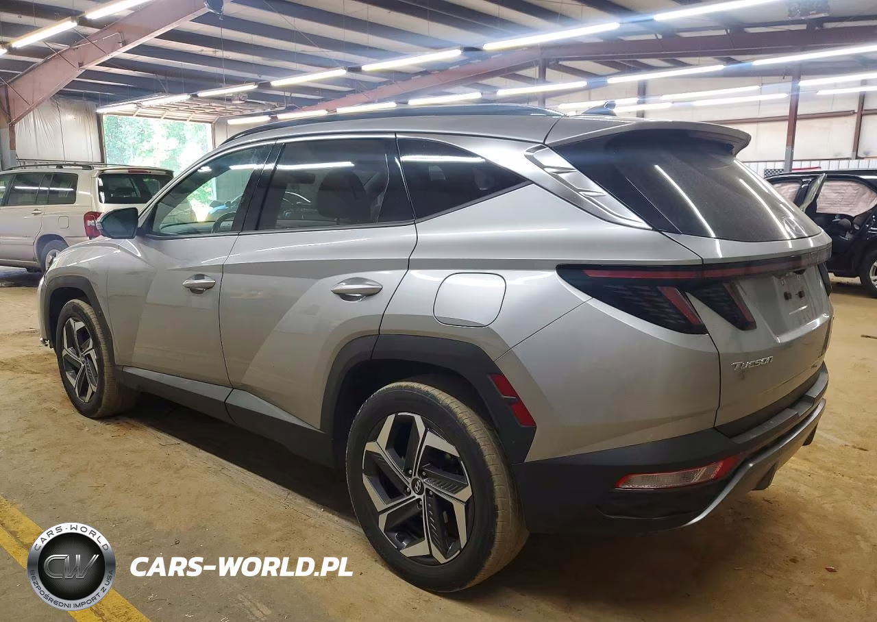 2024 Hyundai Tucson Limited VIN:5NMJECDEXRH300347 - 2