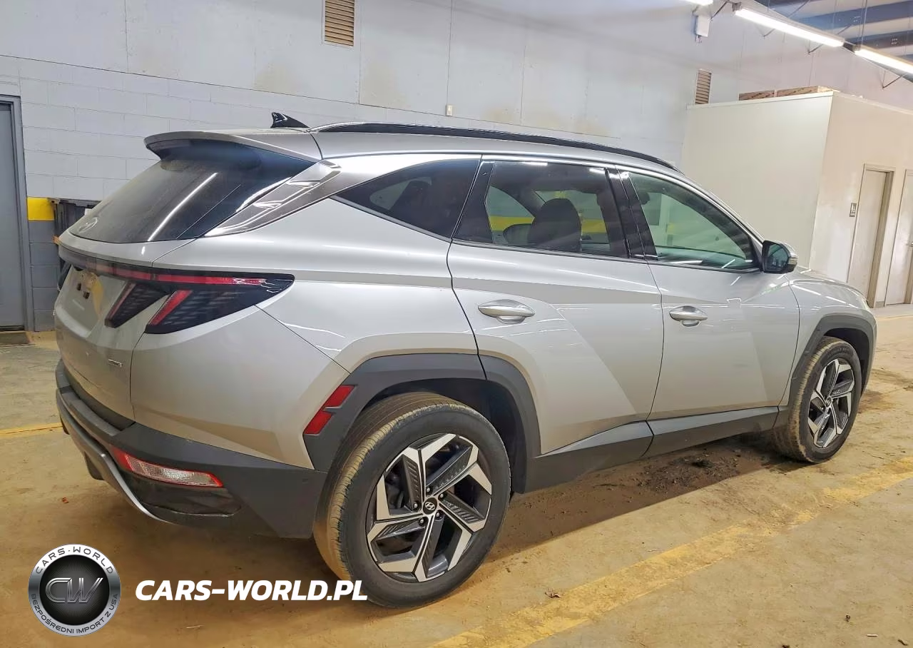 2024 Hyundai Tucson Limited VIN:5NMJECDEXRH300347 - 3