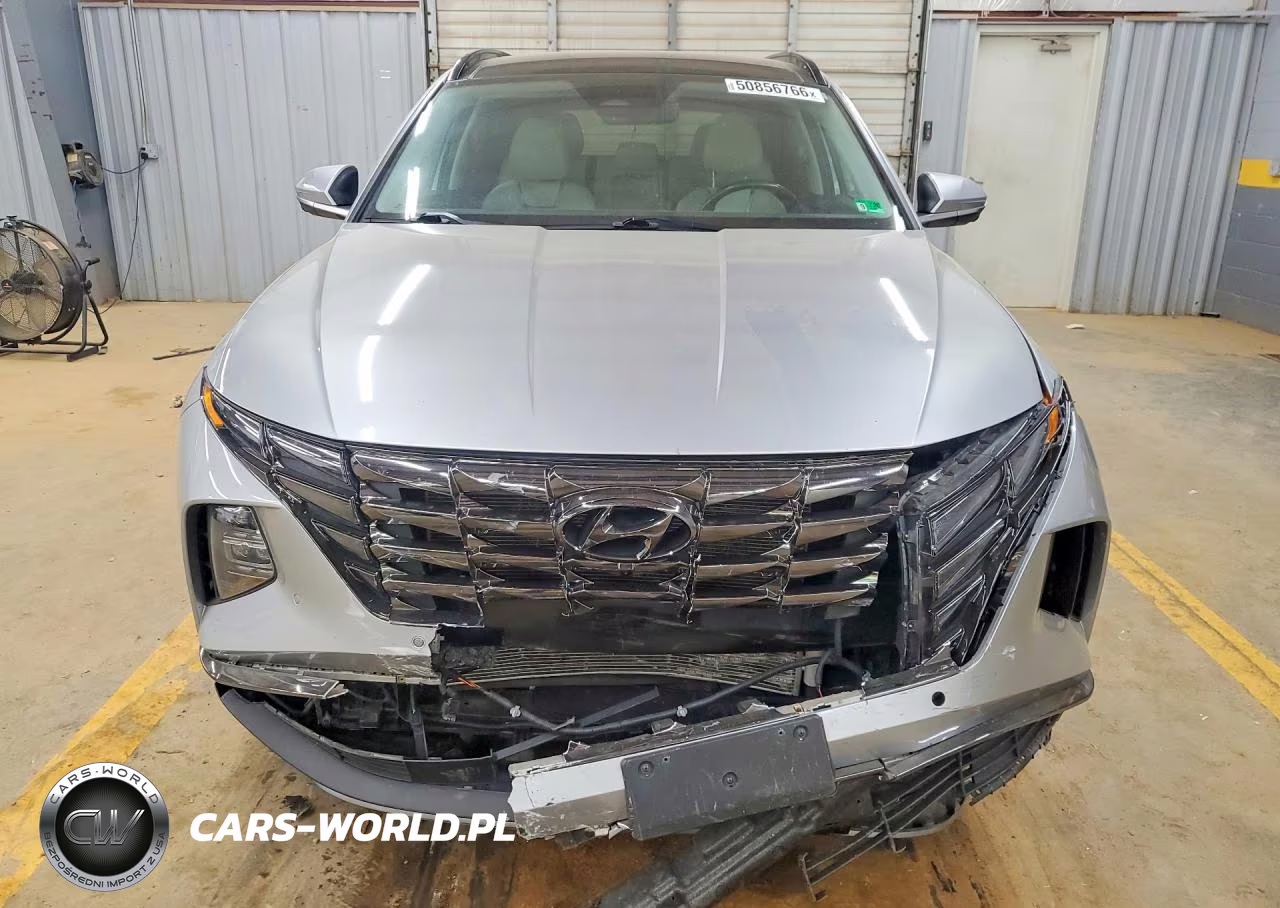 2024 Hyundai Tucson Limited VIN:5NMJECDEXRH300347 - 5