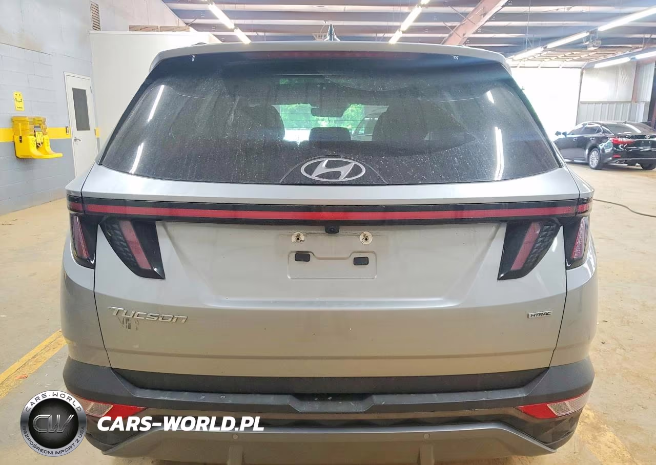 2024 Hyundai Tucson Limited VIN:5NMJECDEXRH300347 - 6