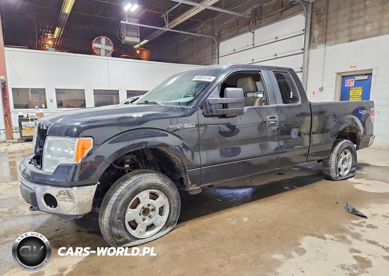 2010 Ford F150