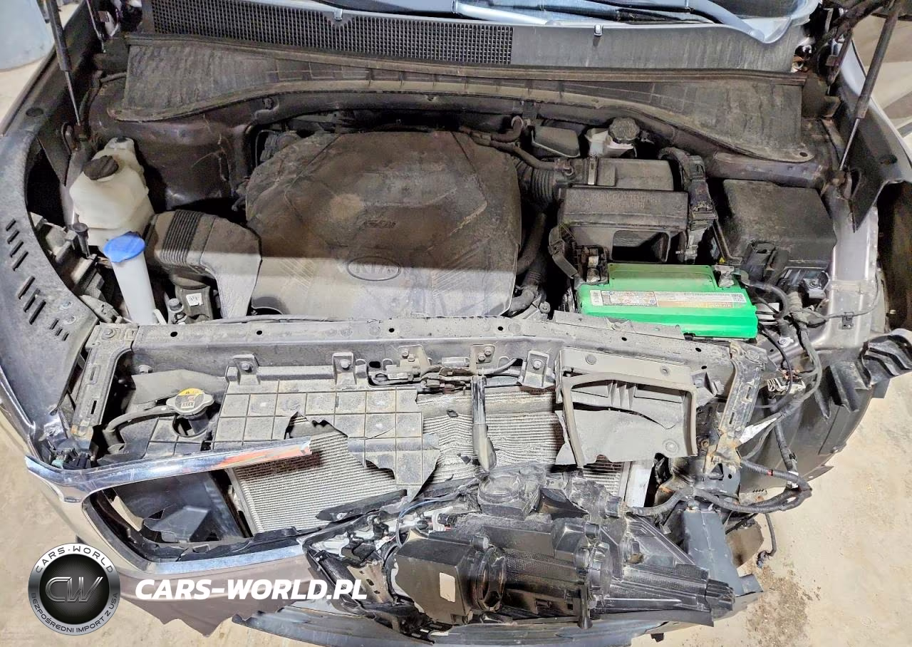 2019 Kia Sorento VIN:5XYPGDA55KG529579 - 12