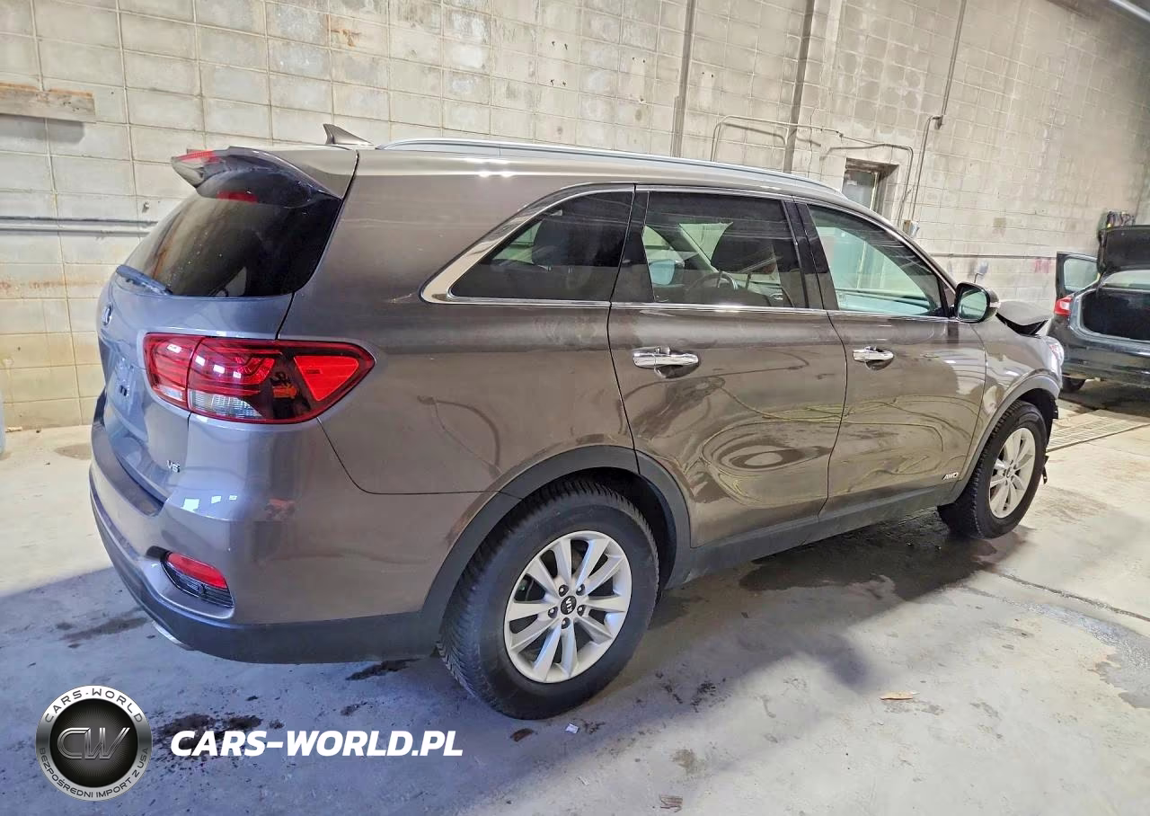 2019 Kia Sorento VIN:5XYPGDA55KG529579 - 3