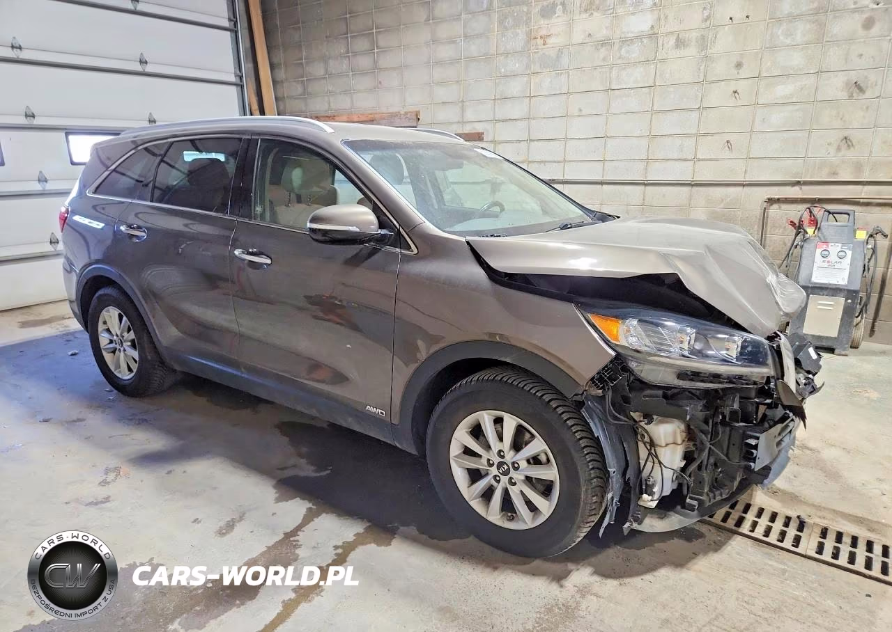 2019 Kia Sorento VIN:5XYPGDA55KG529579 - 4