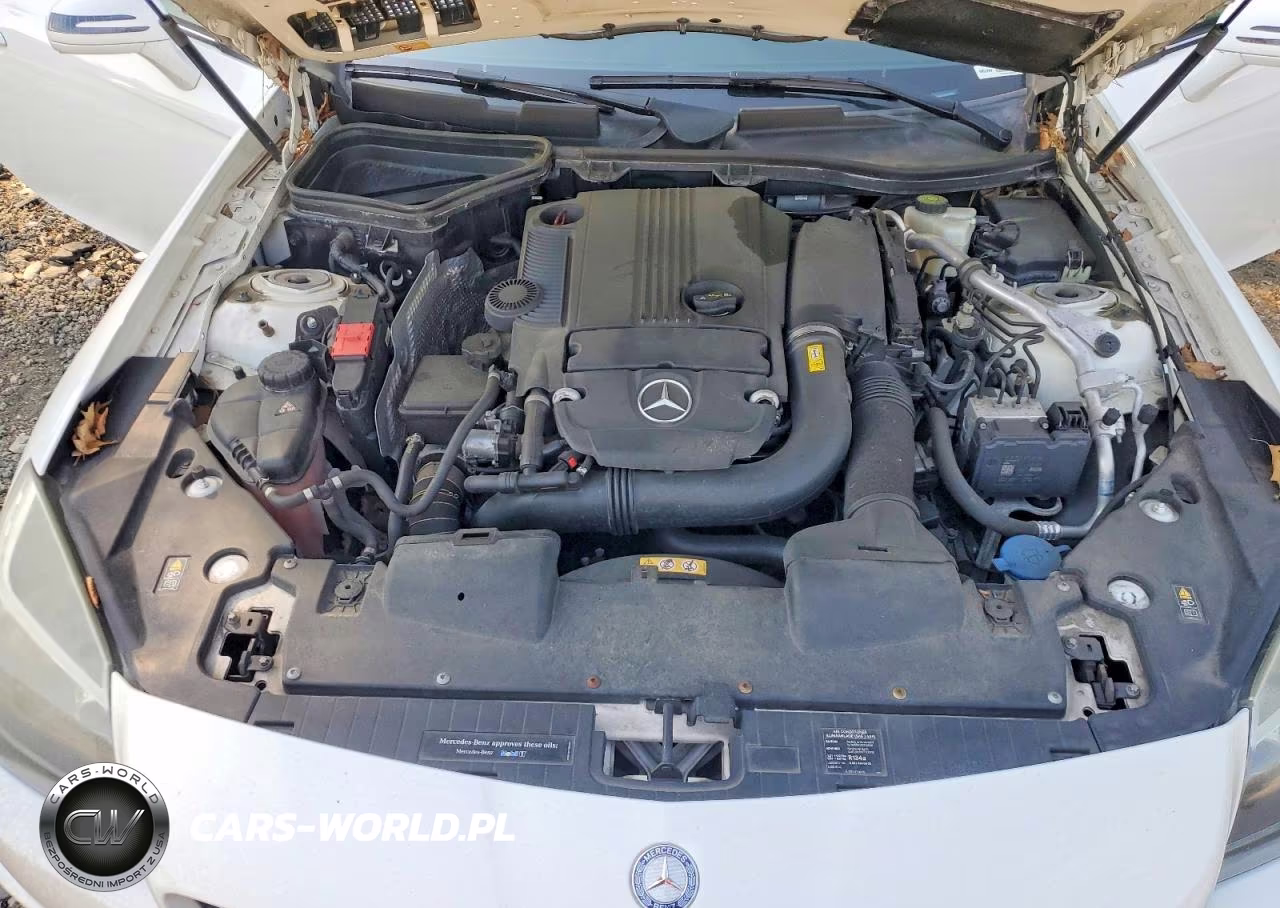 2015 Mercedes-Benz Slk 250 VIN:WDDPK4HA3FF109903 - 11