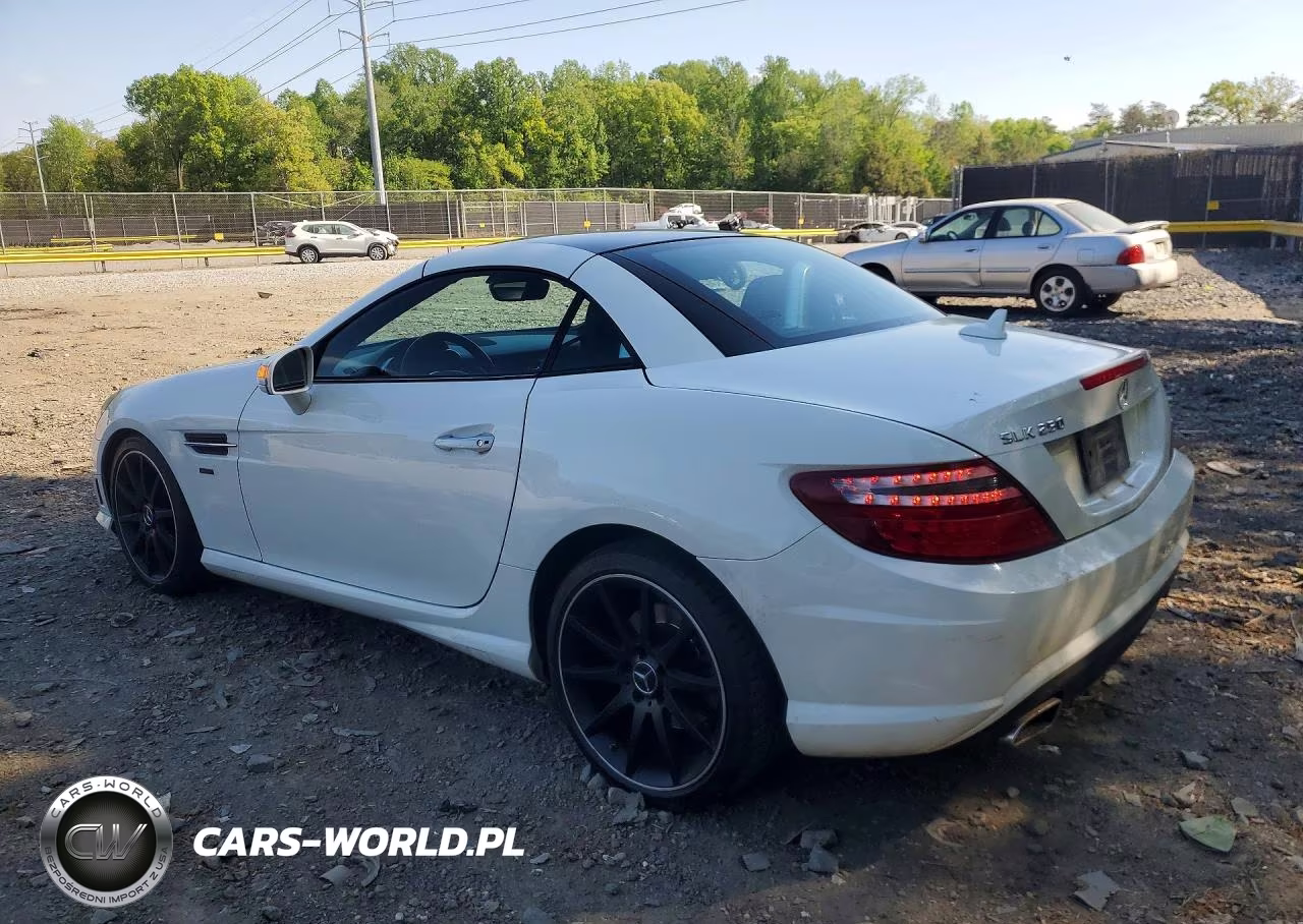 2015 Mercedes-Benz Slk 250 VIN:WDDPK4HA3FF109903 - 2