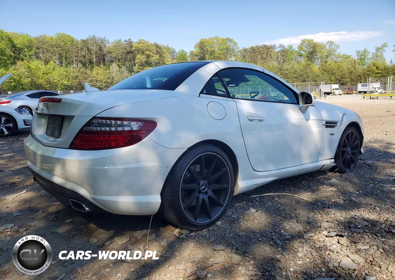 2015 Mercedes-Benz Slk 250 VIN:WDDPK4HA3FF109903 - 3