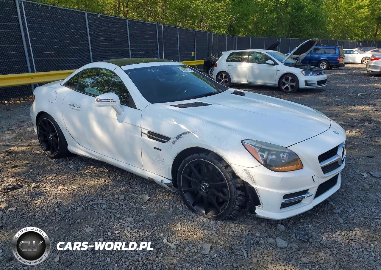 2015 Mercedes-Benz Slk 250 VIN:WDDPK4HA3FF109903 - 4