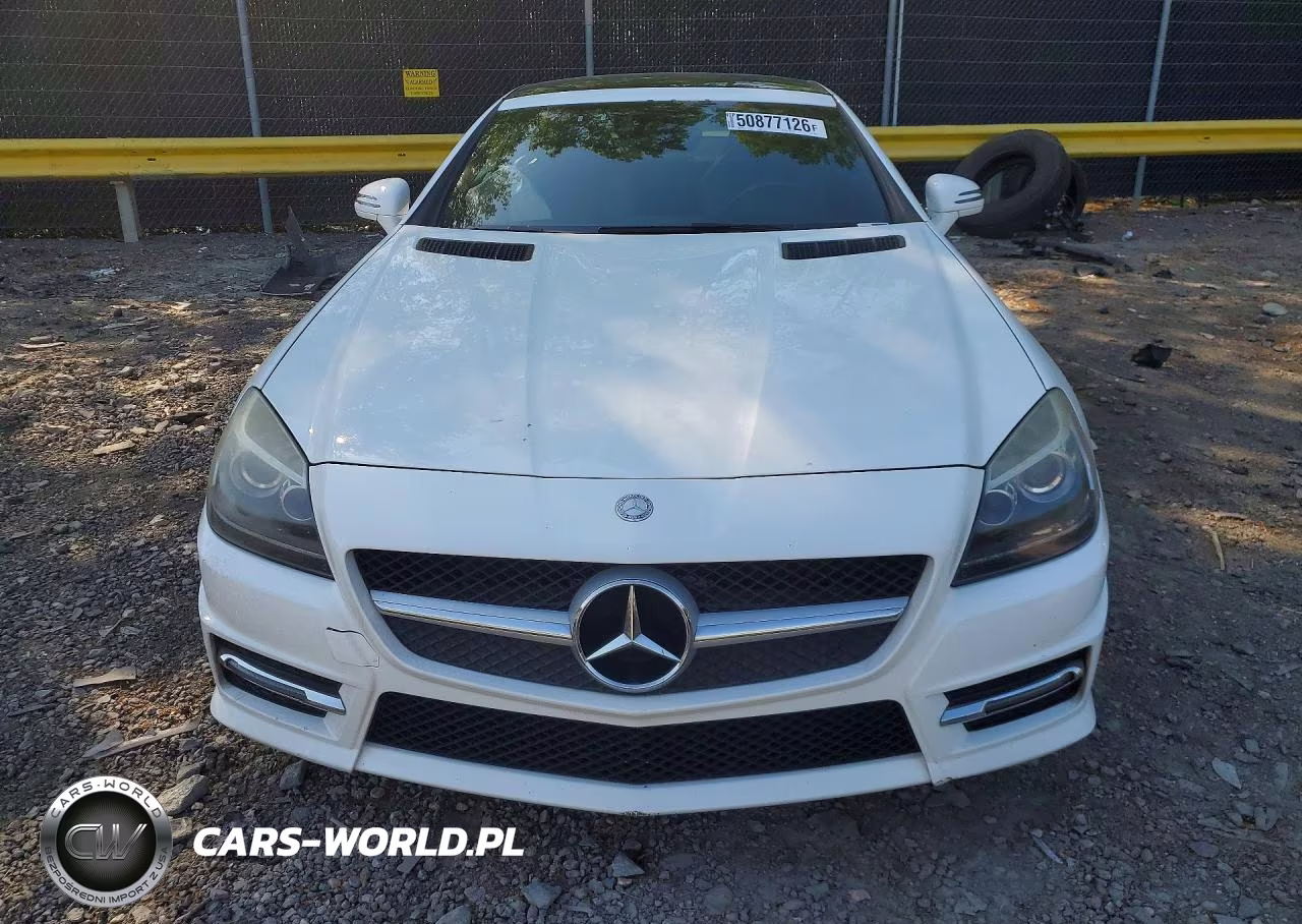 2015 Mercedes-Benz Slk 250 VIN:WDDPK4HA3FF109903 - 5