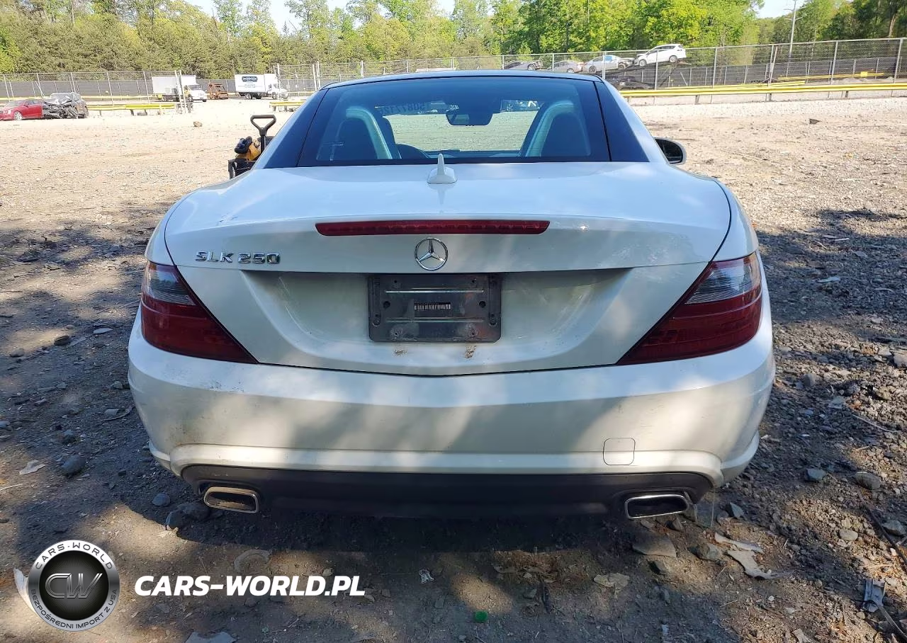 2015 Mercedes-Benz Slk 250 VIN:WDDPK4HA3FF109903 - 6
