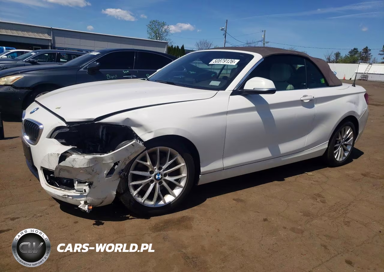 2016 BMW 228 I Sulev