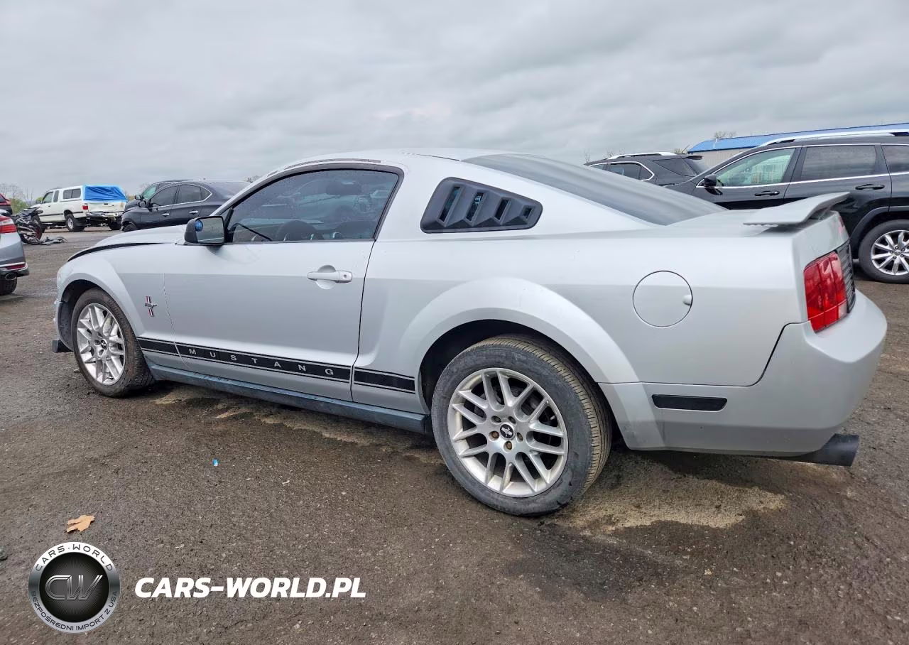 2006 Ford Mustang VIN:1ZVHT80N365132652 - 2