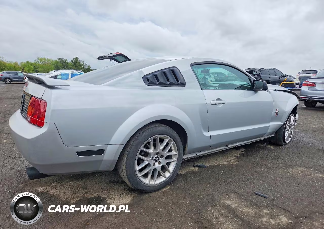 2006 Ford Mustang VIN:1ZVHT80N365132652 - 3