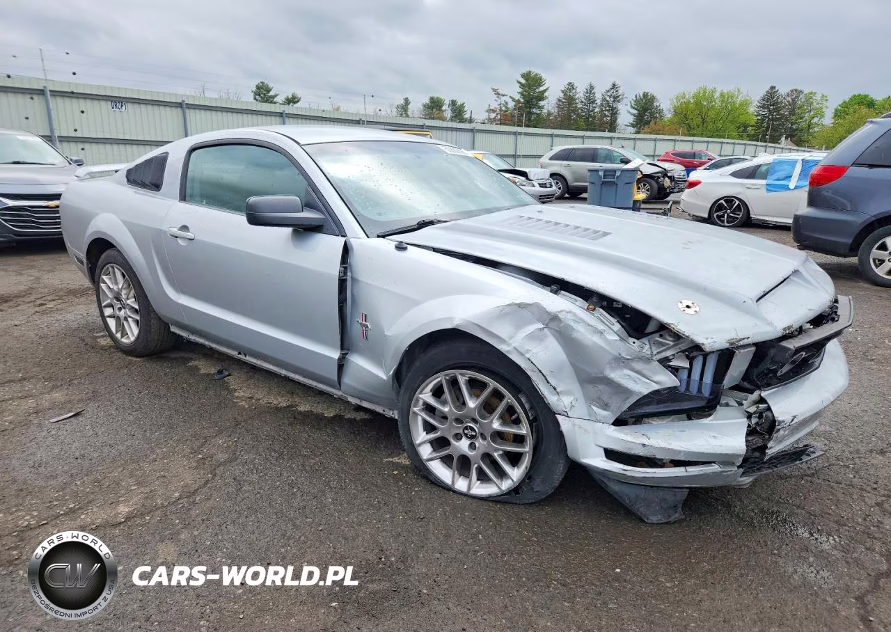 2006 Ford Mustang VIN:1ZVHT80N365132652 - 4