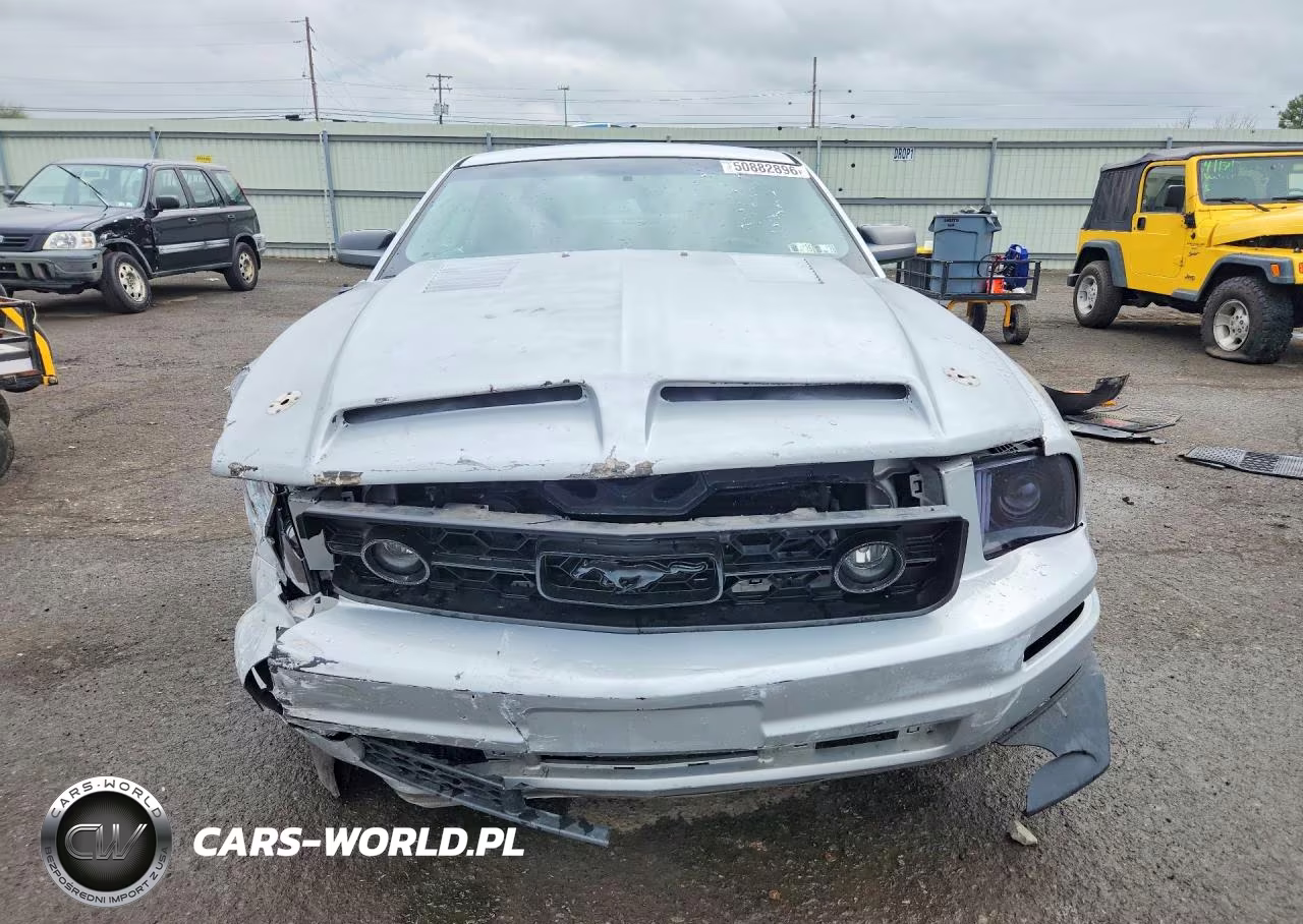 2006 Ford Mustang VIN:1ZVHT80N365132652 - 5
