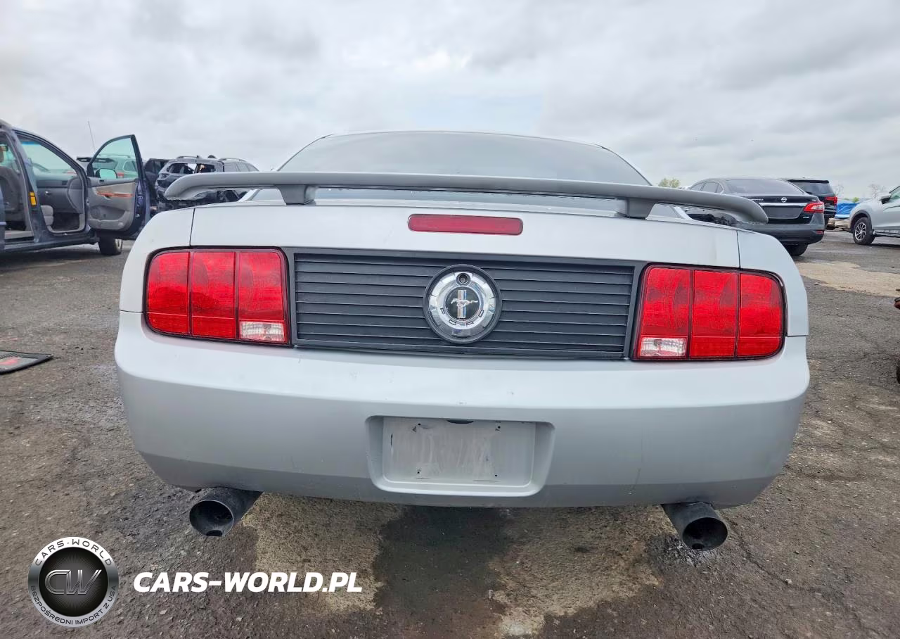 2006 Ford Mustang VIN:1ZVHT80N365132652 - 6