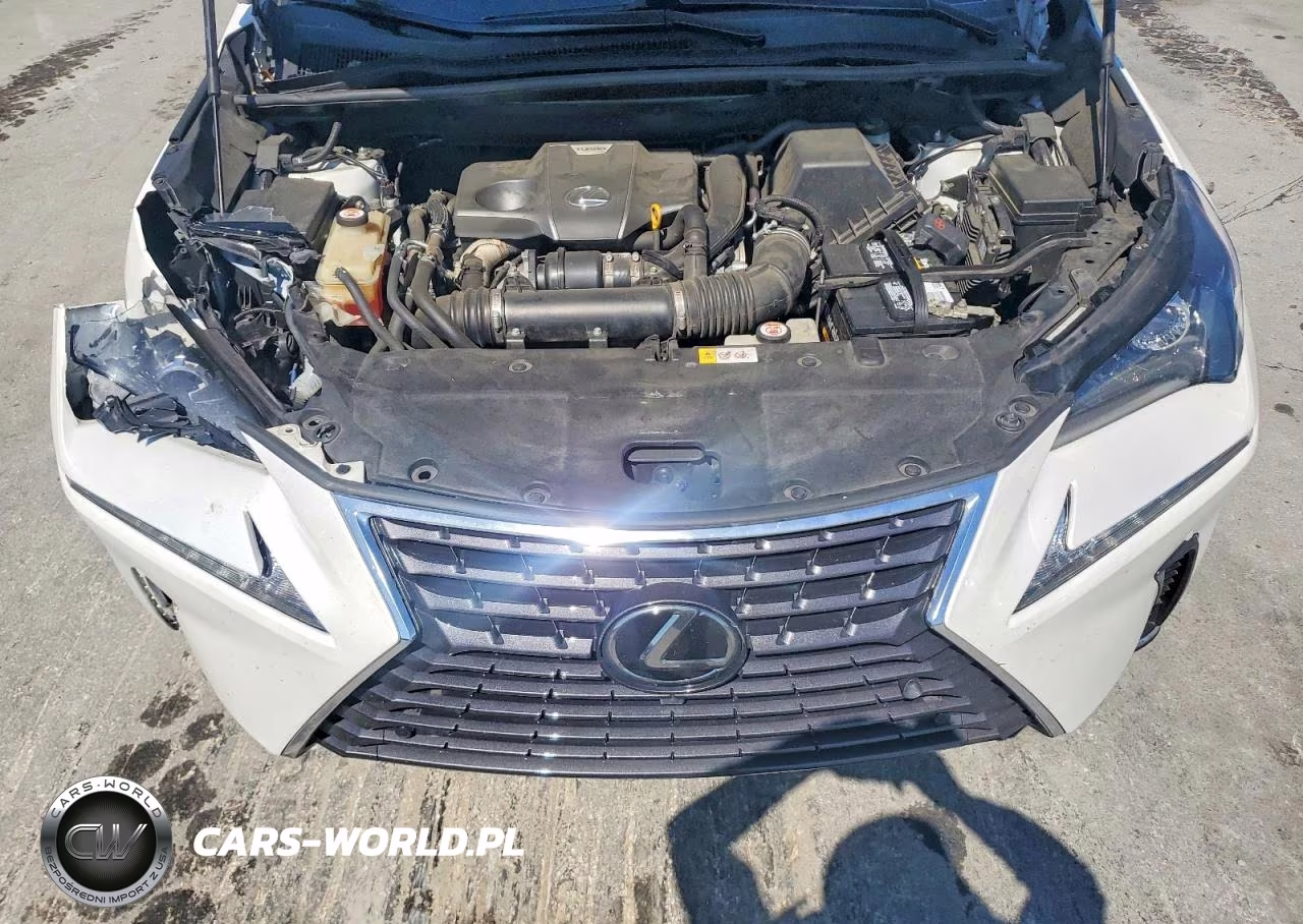 2018 Lexus Nx 300 Base VIN:JTJYARBZ5J2096954 - 12
