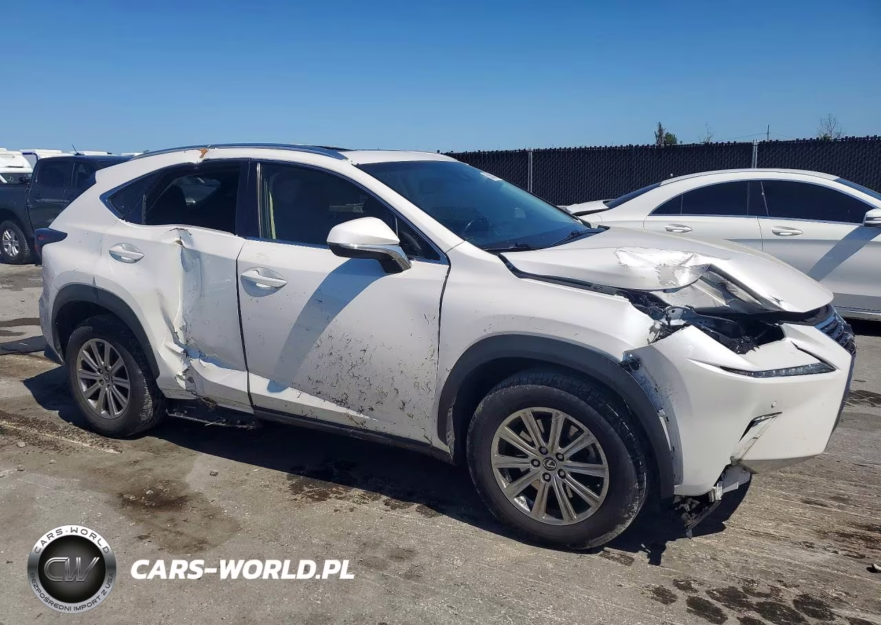 2018 Lexus Nx 300 Base VIN:JTJYARBZ5J2096954 - 4