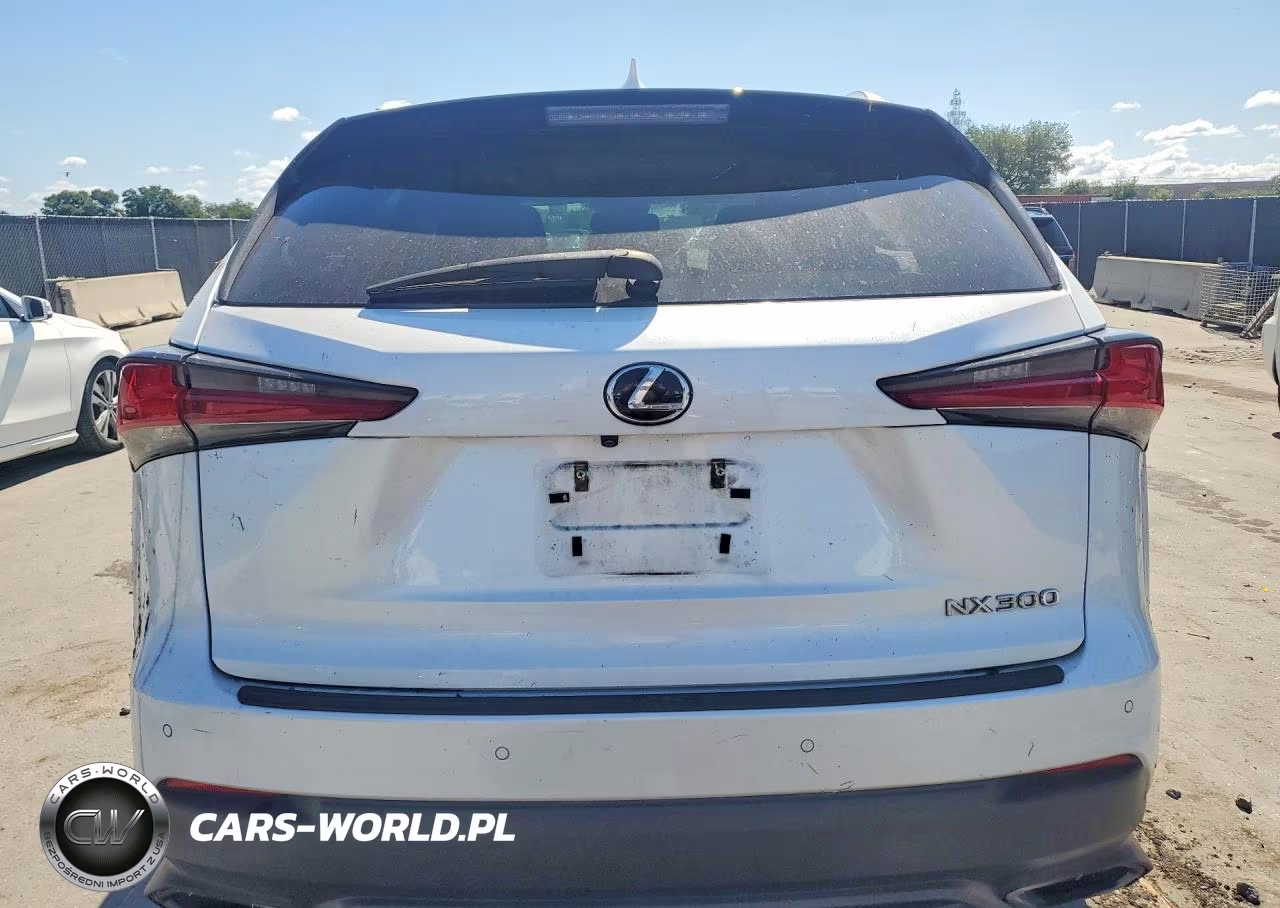 2018 Lexus Nx 300 Base VIN:JTJYARBZ5J2096954 - 6