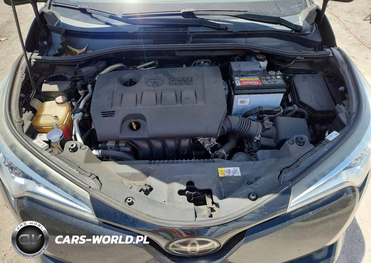 2019 Toyota C-Hr Xle VIN:NMTKHMBX6KR100282 - 11