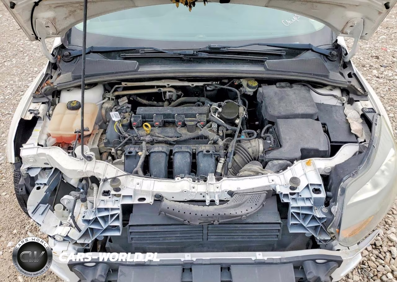 2014 Ford Focus Titanium VIN:1FADP3N23EL303441 - 11