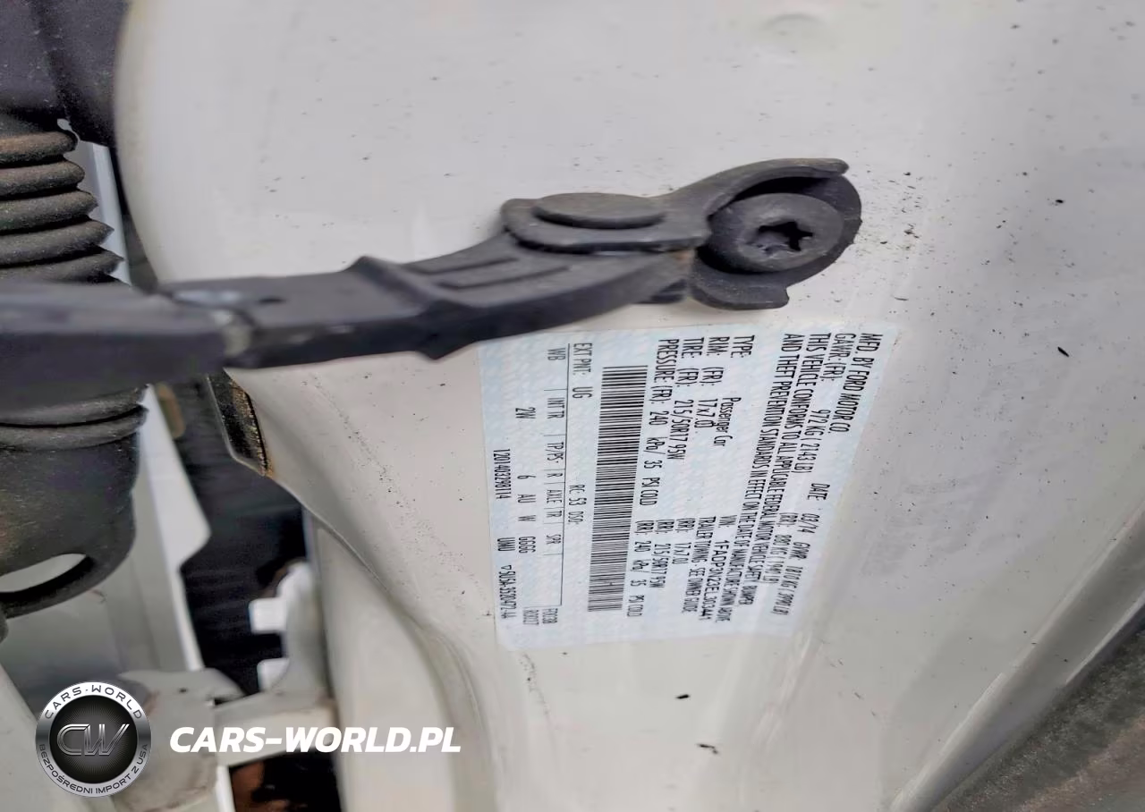2014 Ford Focus Titanium VIN:1FADP3N23EL303441 - 12